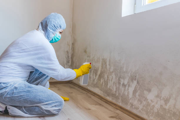 Licensed Mold Cleanup service in Marietta, GA - WQB Mold Removal