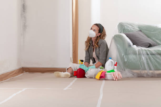 Reliable Mold Cleanup contractor in Marietta, GA by WQB Mold Removal